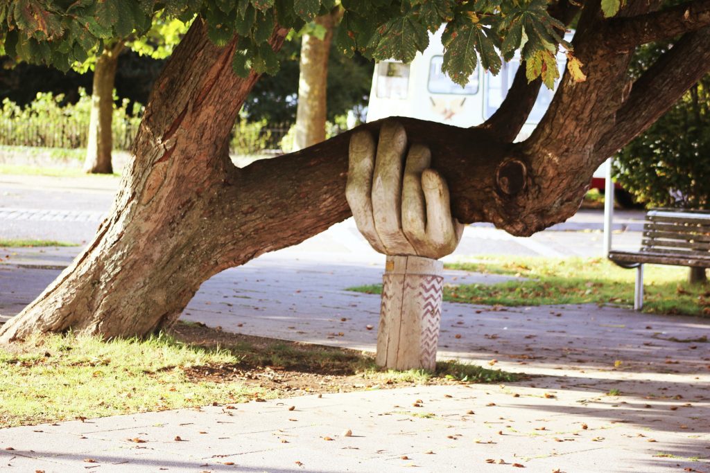 Sculptured hand Supporting a tree